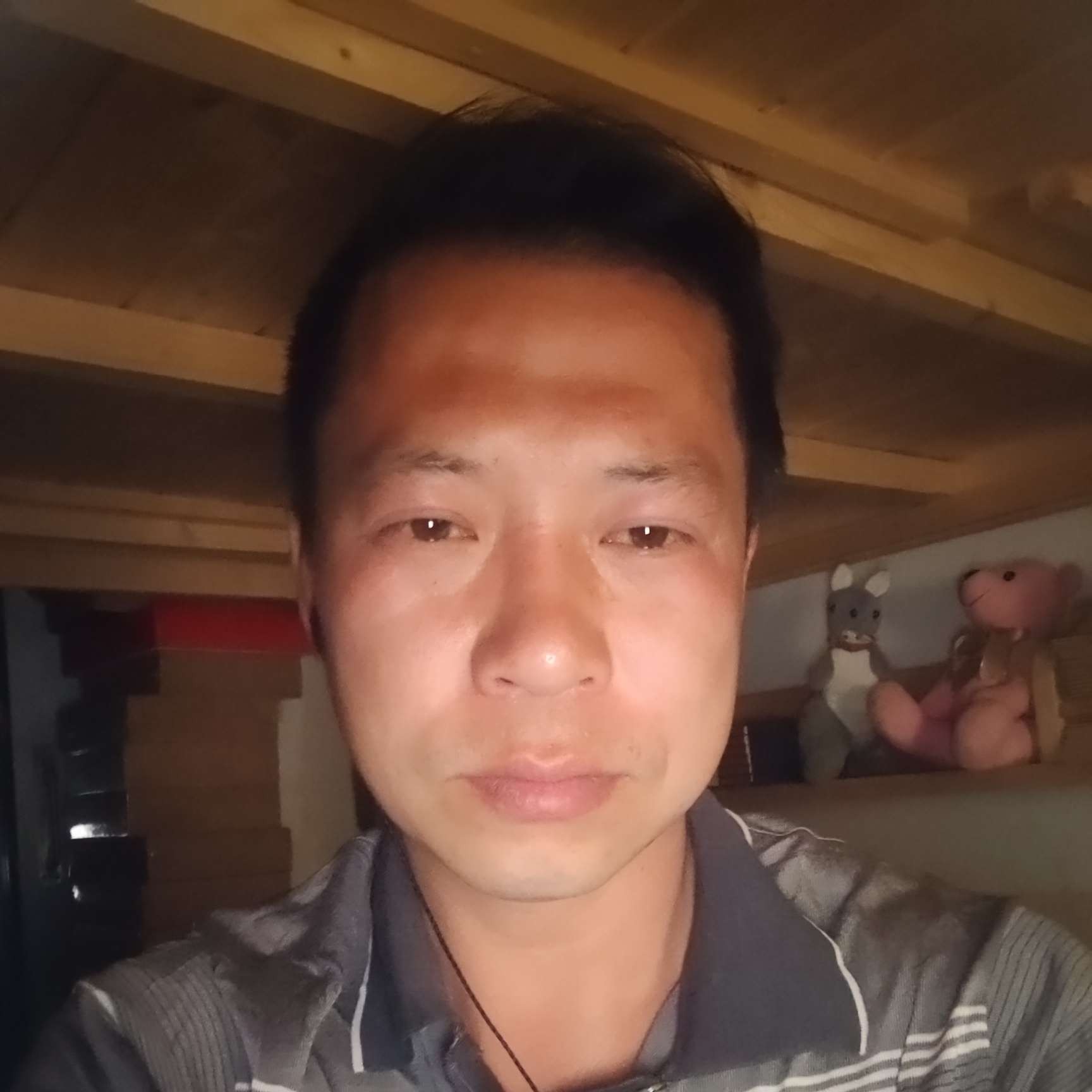 火星上的航空的照片