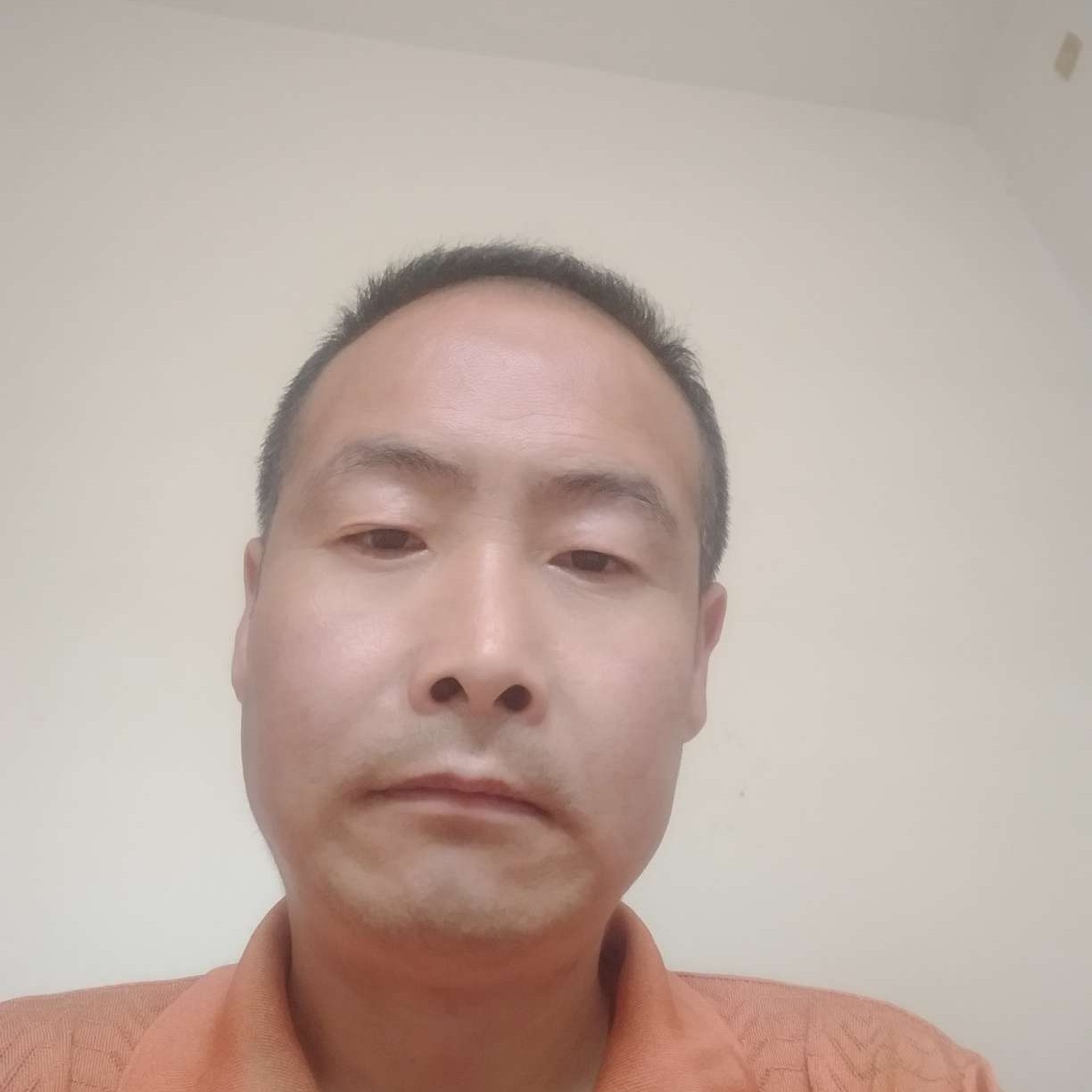 冯鹰的照片