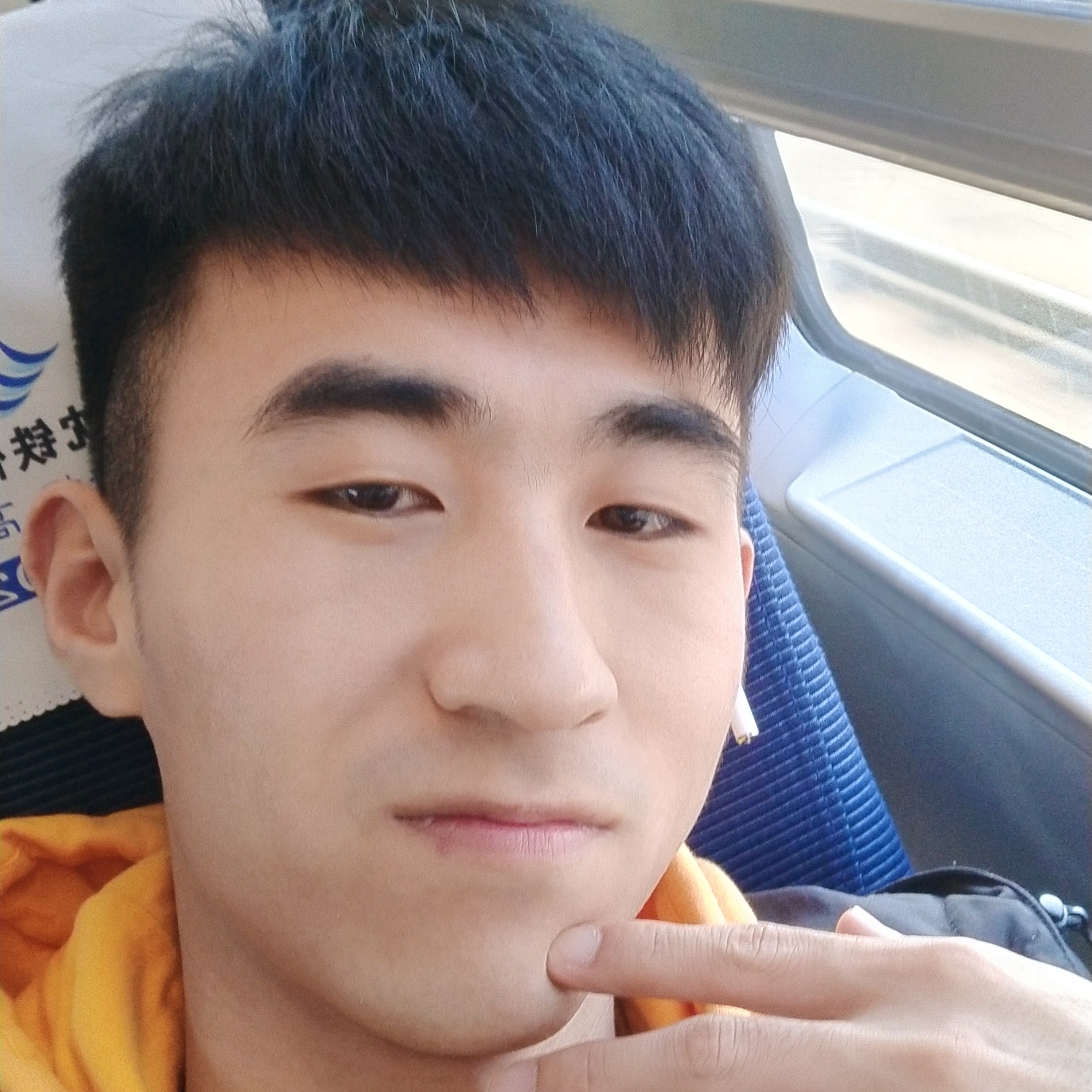 烂漫扯白猫的照片