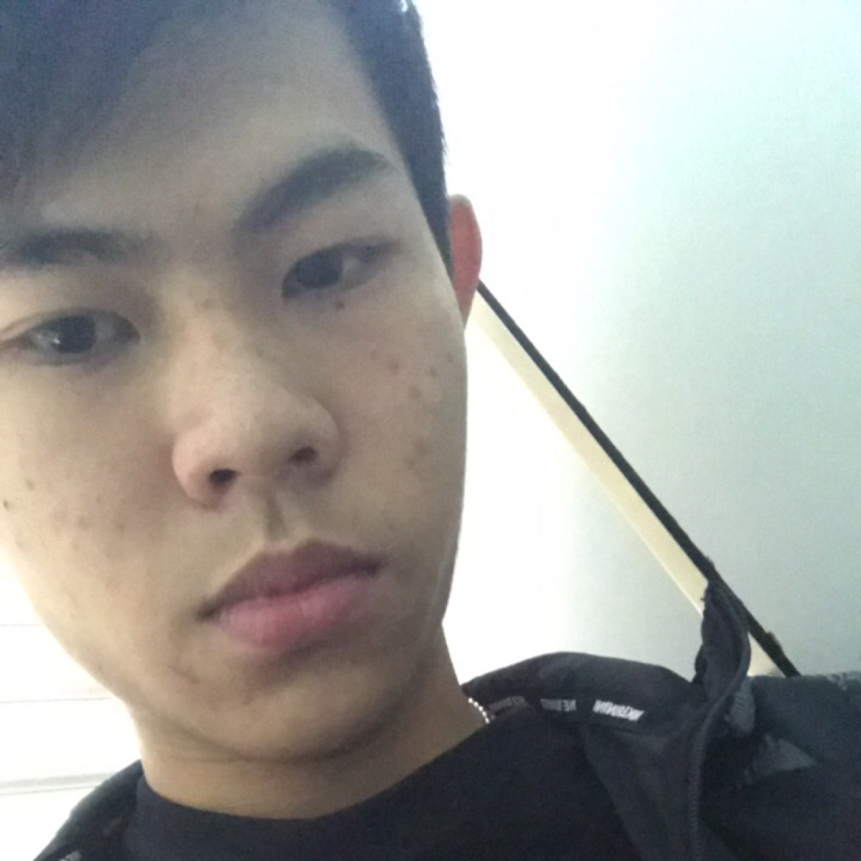 大象高大的照片