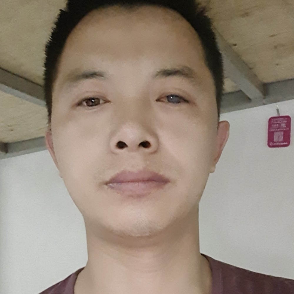 执着保卫小蚂蚁的照片
