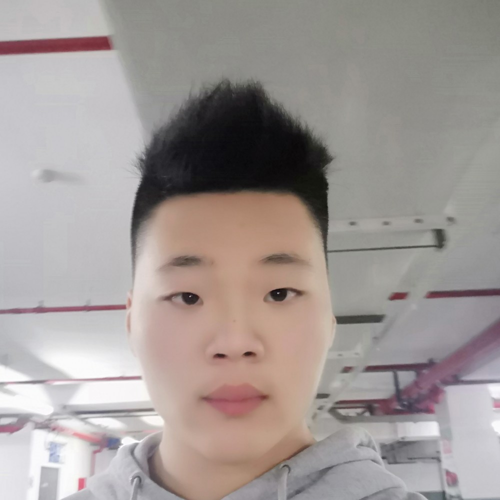 吐司迷路的照片