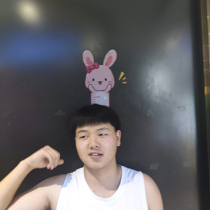 烤鸡细腻的照片