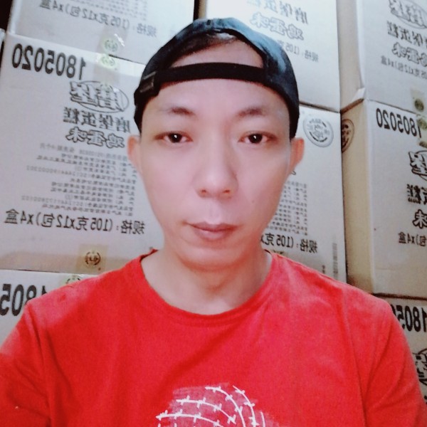 刺猬斯文的照片