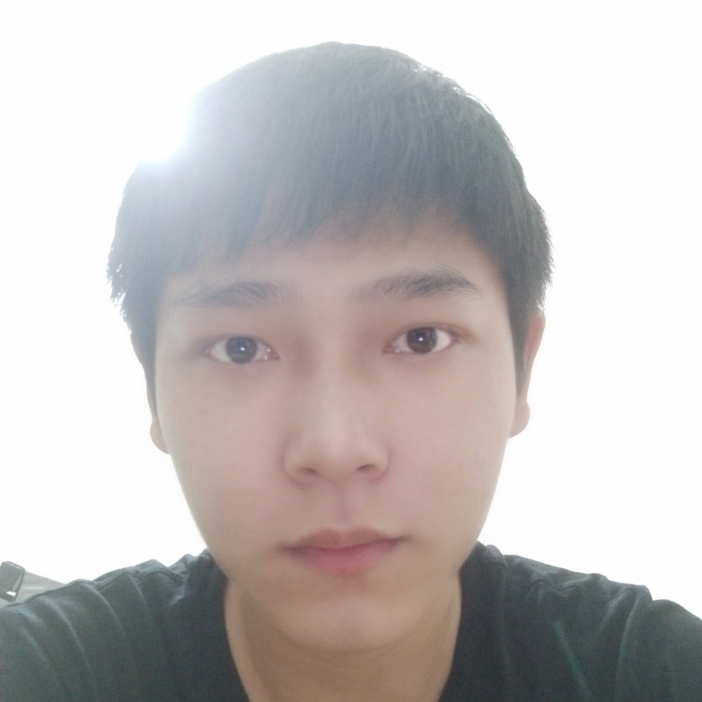 一只小小小鸟的照片