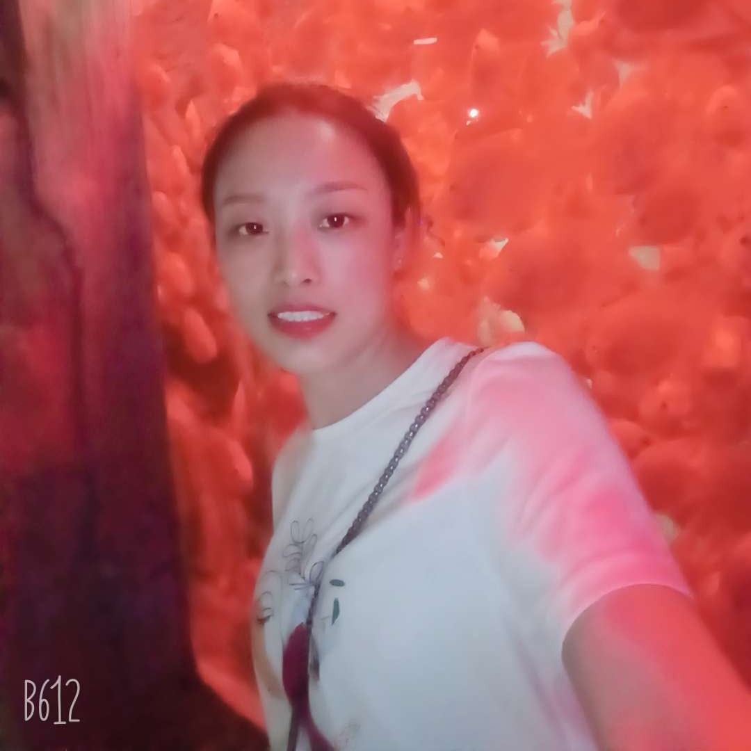 黄豆拼搏的照片