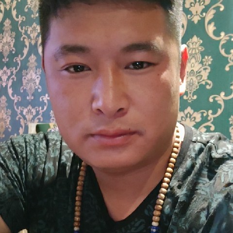 敏感方飞鸟的照片