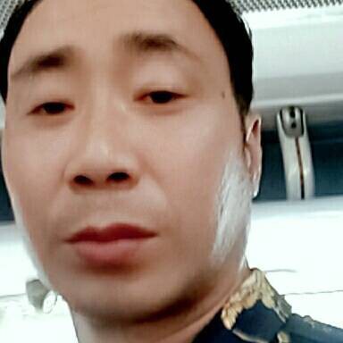 狗回眸喜悦的照片