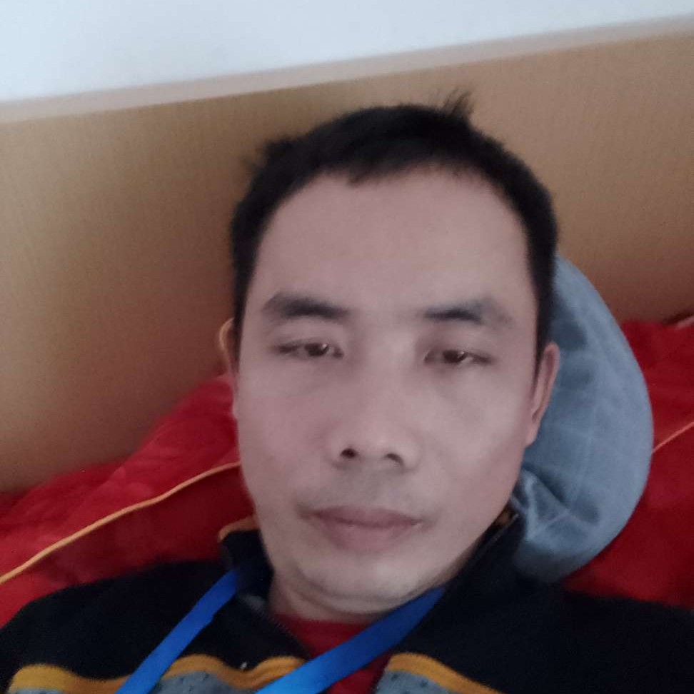 大象爱强健的照片