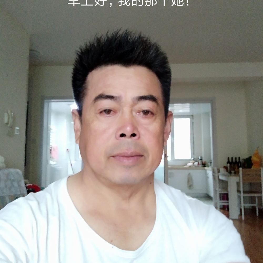 海燕虚拟的照片