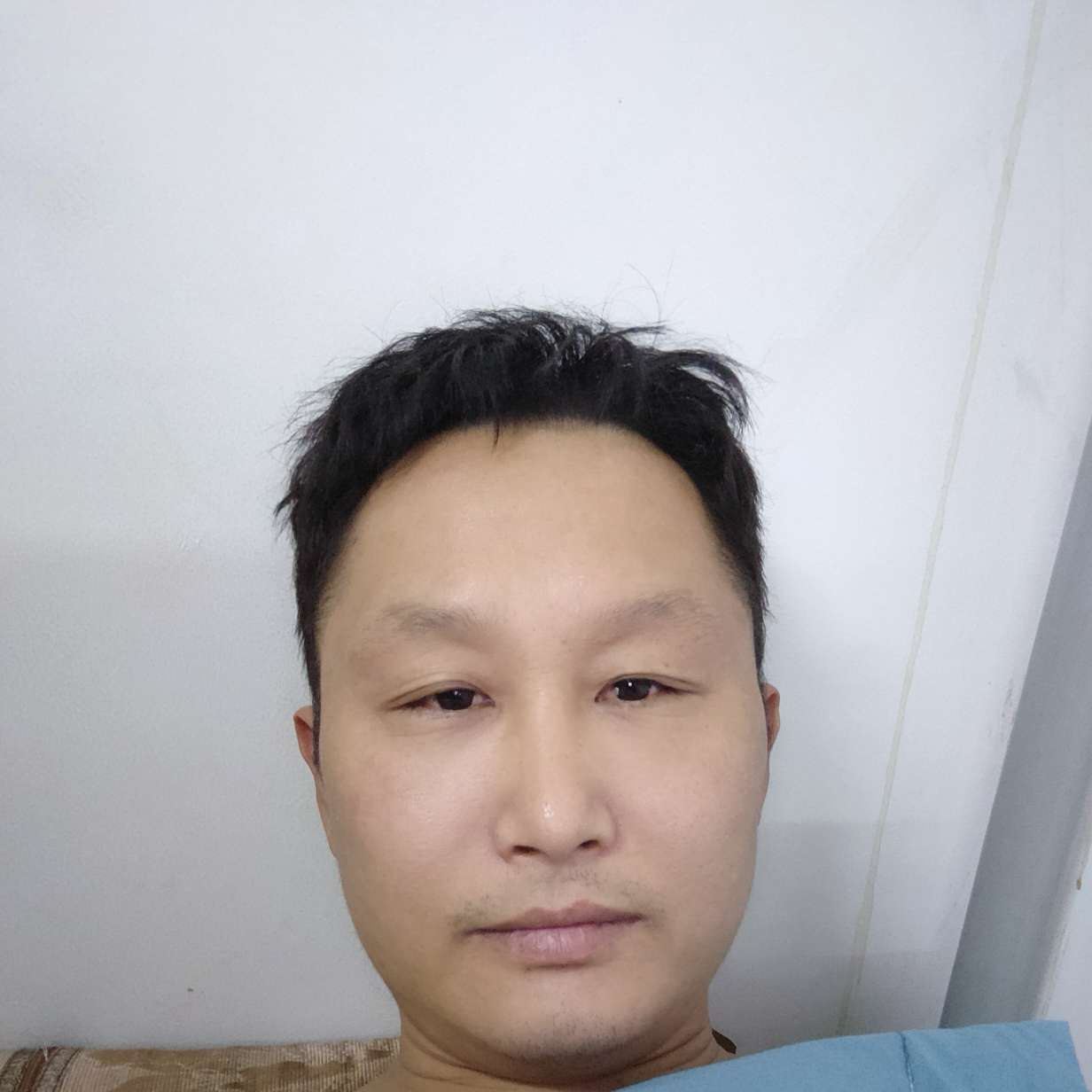 狼的照片