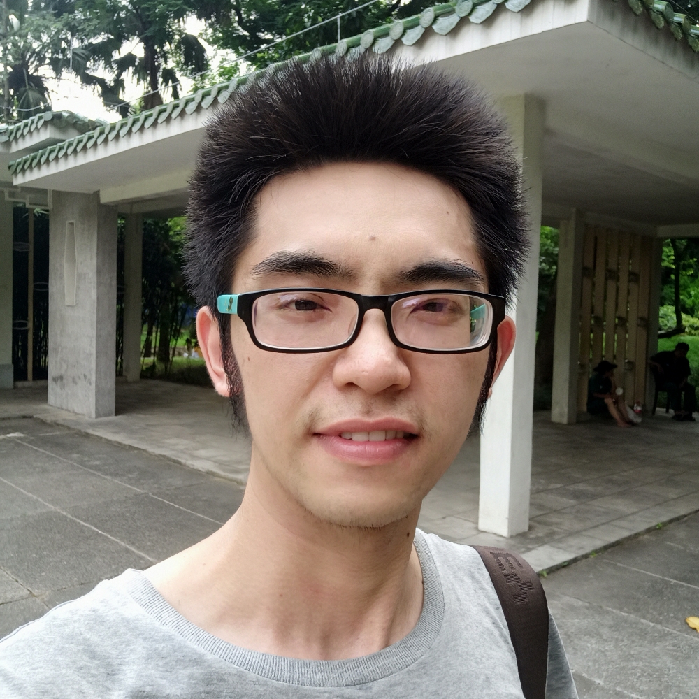 装饰鲜花不会结果的照片