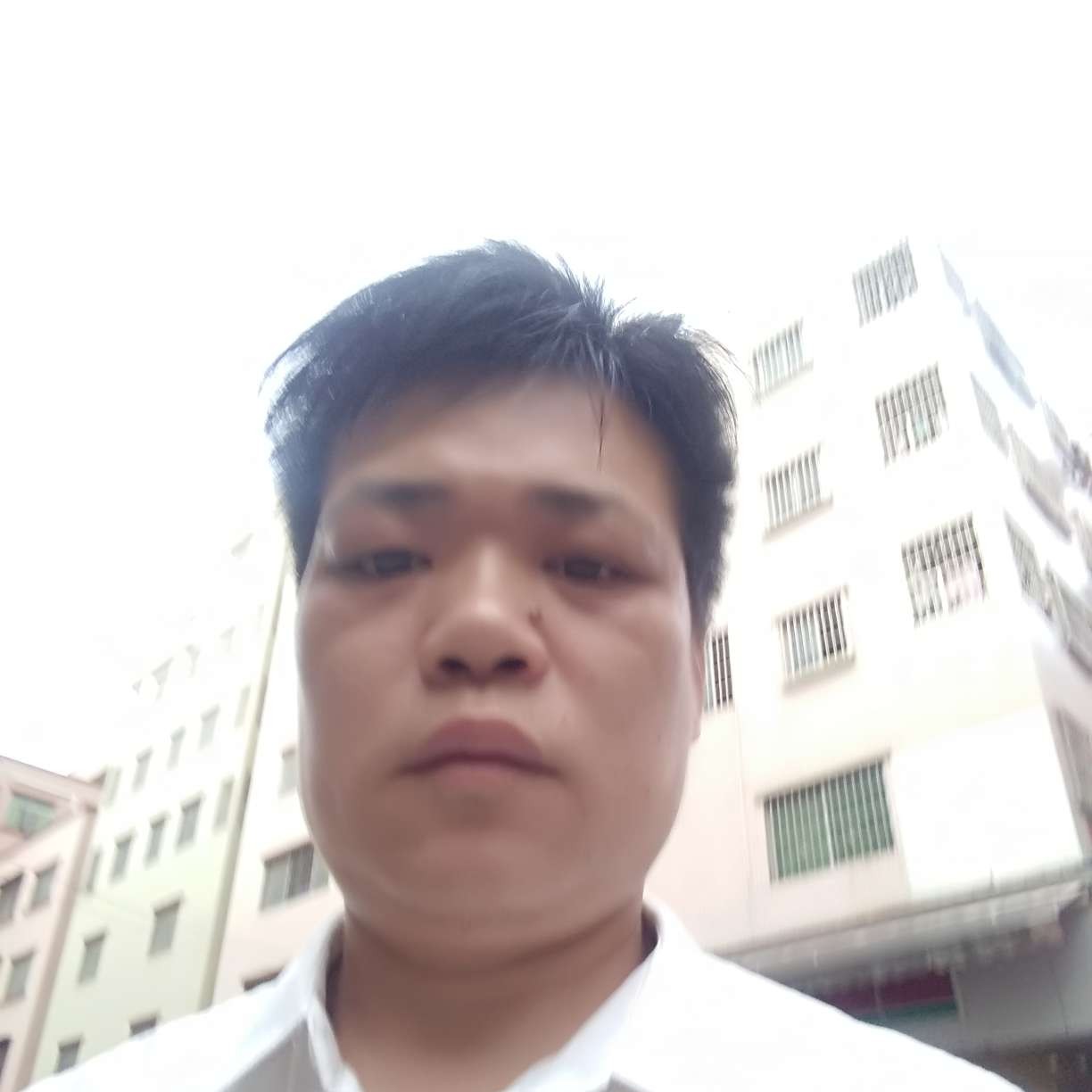 爱恨情灭的照片