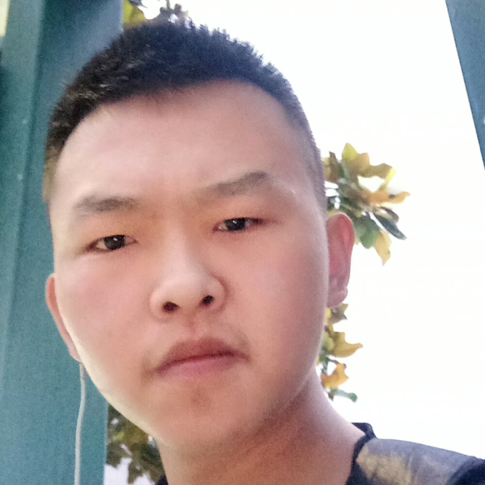 迷离大门的照片
