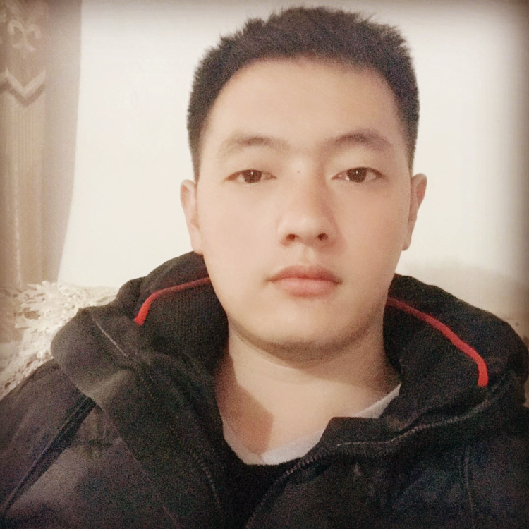 猫咪健壮的照片