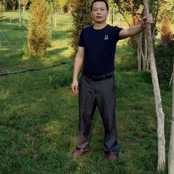 成心成意思说的照片