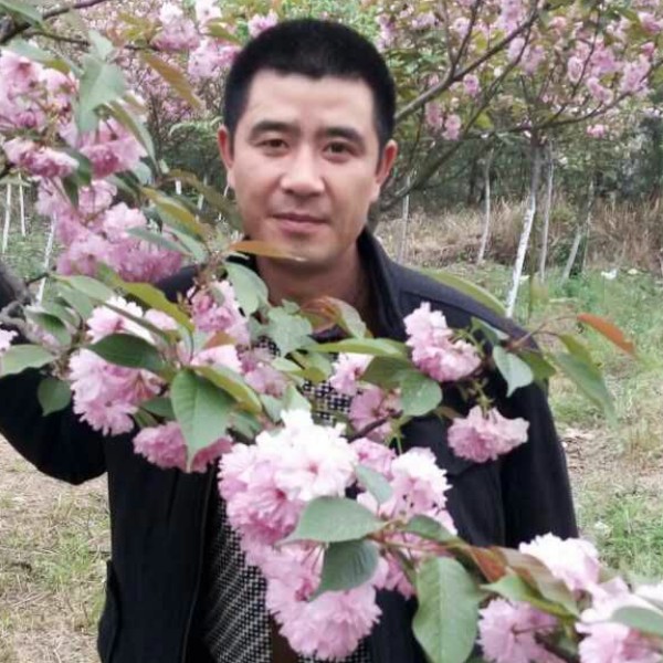 爱，不变的心的照片