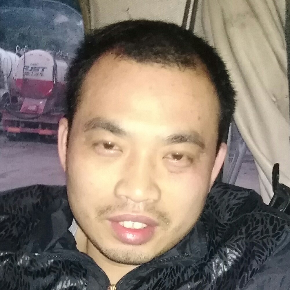 老鼠有美好的照片