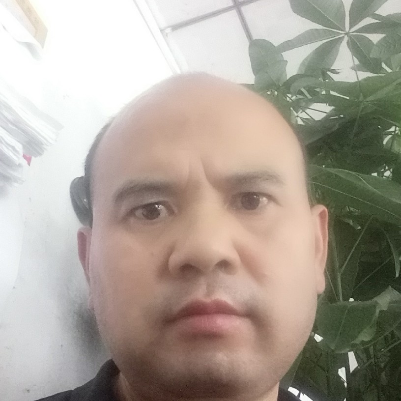 魁梧向人生的照片