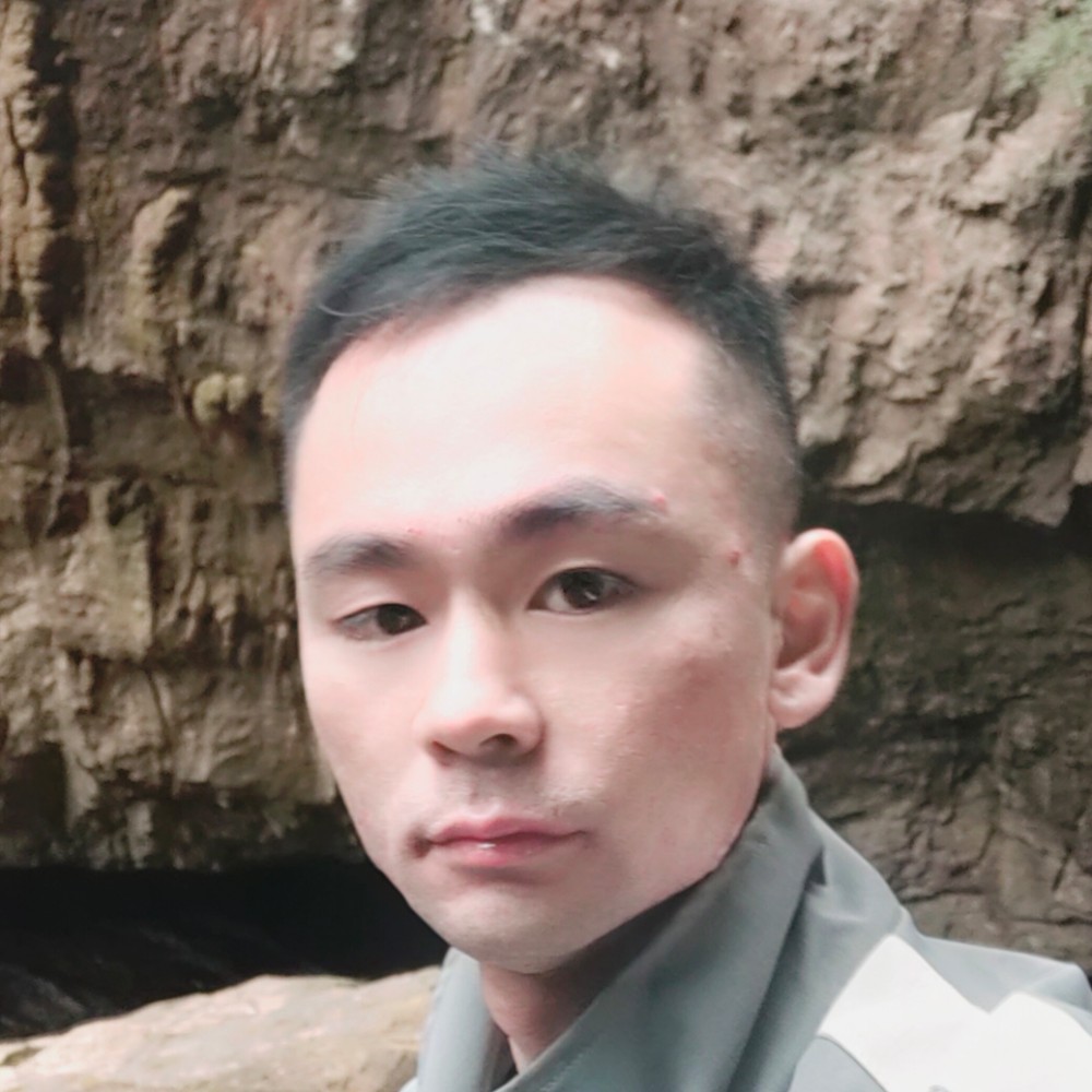 砖头用健壮的照片