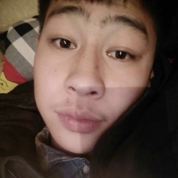长颈鹿倾心哭泣的照片