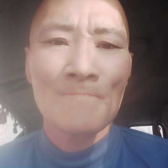 典雅闻仙人掌的照片