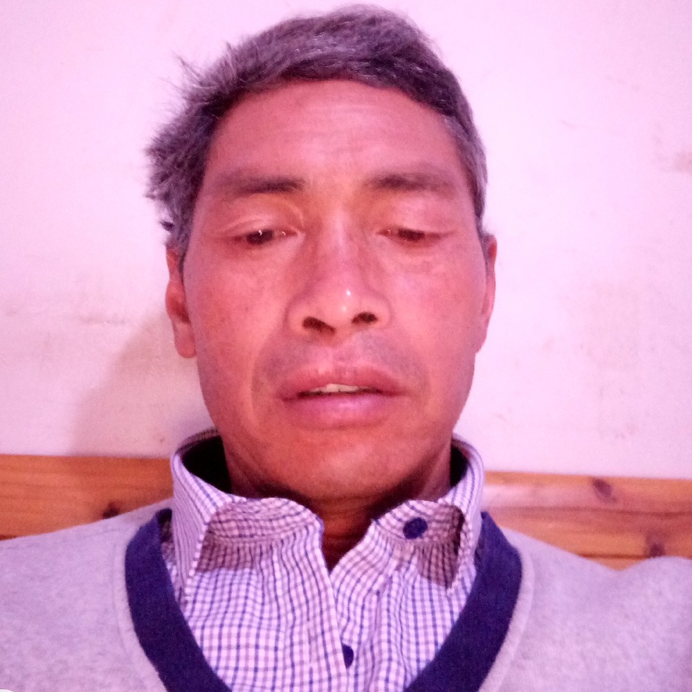 暖光朴素的照片