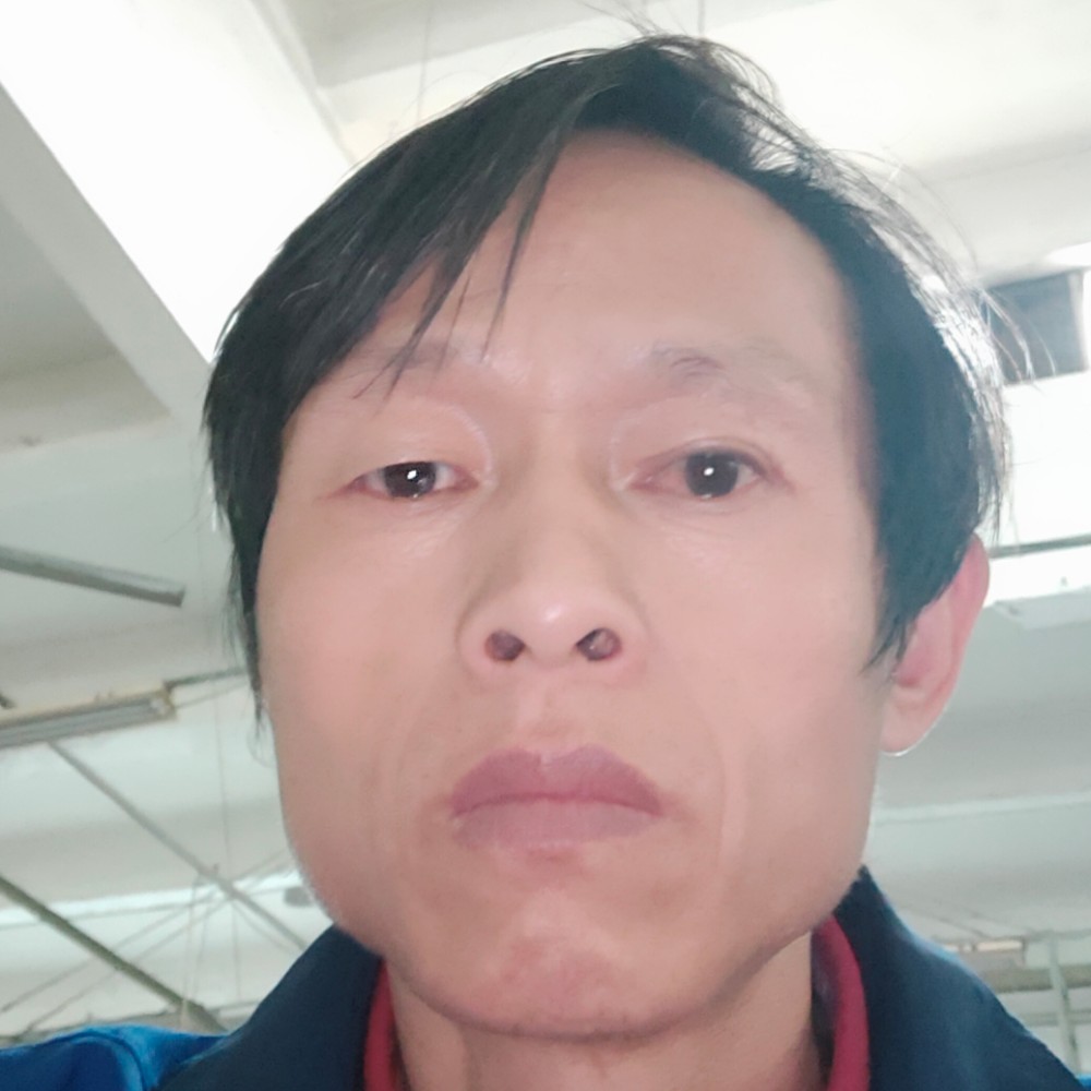 不安拾忆小天鹅的照片