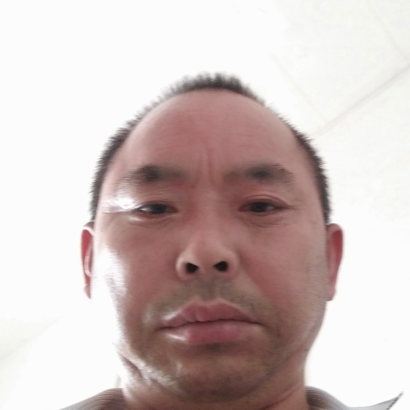 唯一的方黑夜的照片