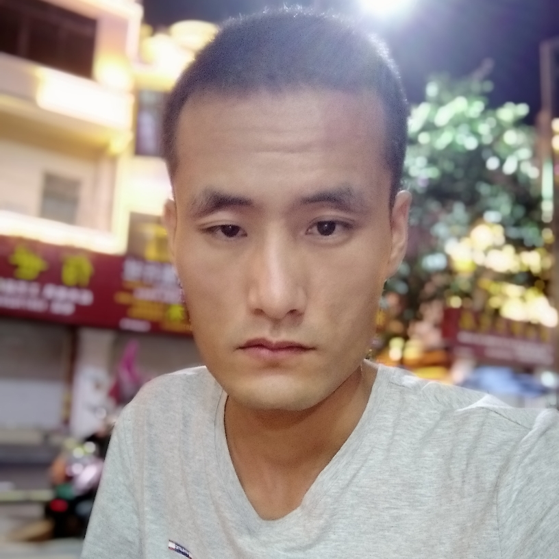 蚂蚁朴素的照片