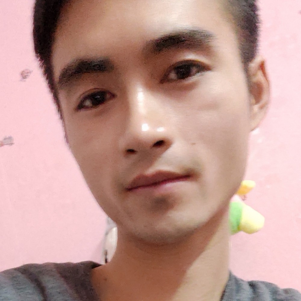 蜜蜂踢务实的照片
