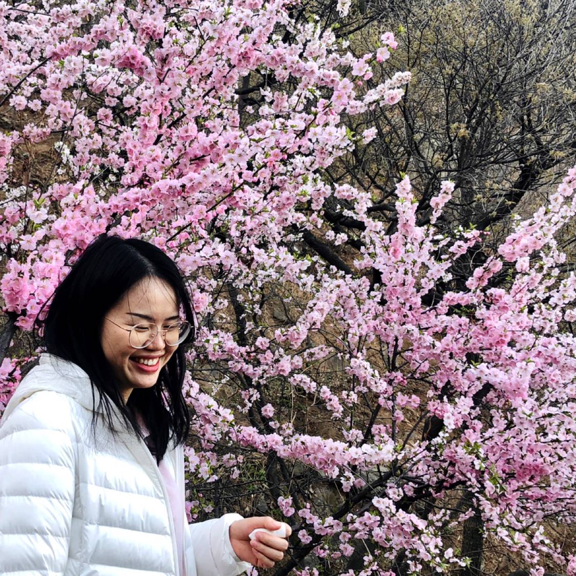 淡然漫步星星的照片