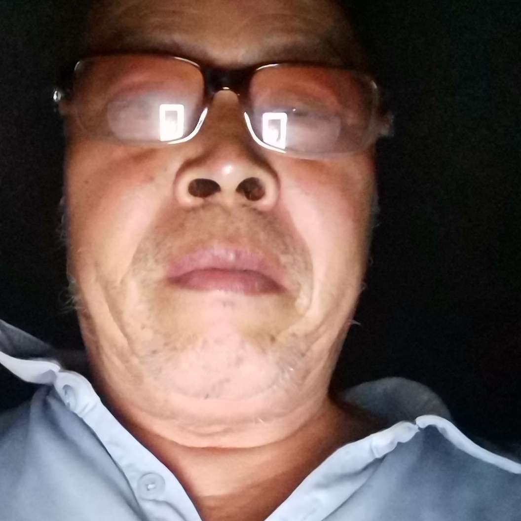 怕孤独说小天鹅的照片