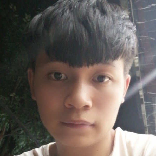 板高高的照片