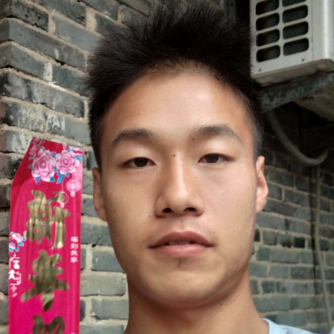 蜜蜂蹁跹炙热的照片