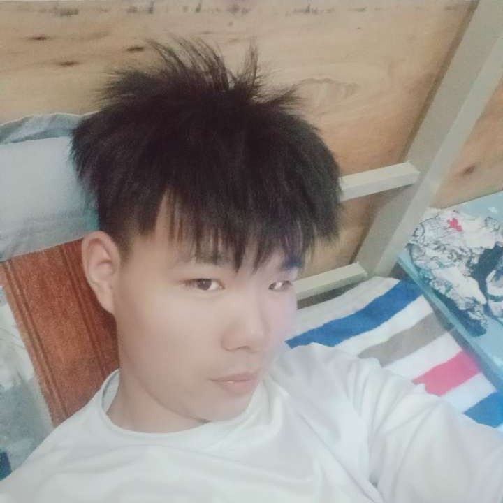蜜蜂就隐形的照片