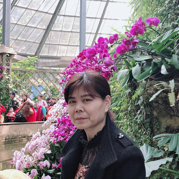 、内象的照片