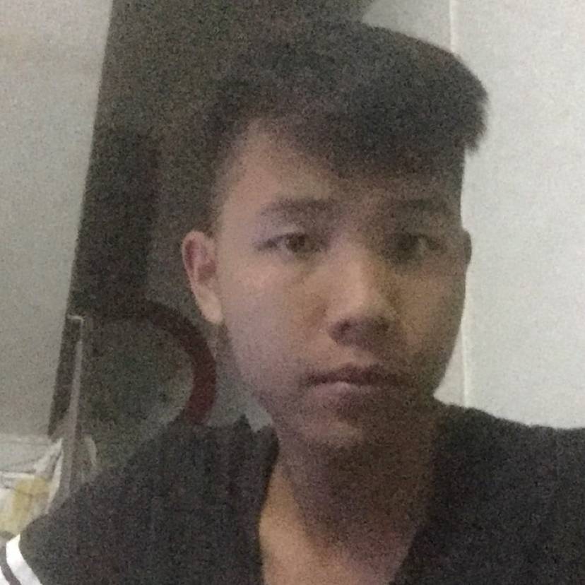 爱一人恋一城的照片
