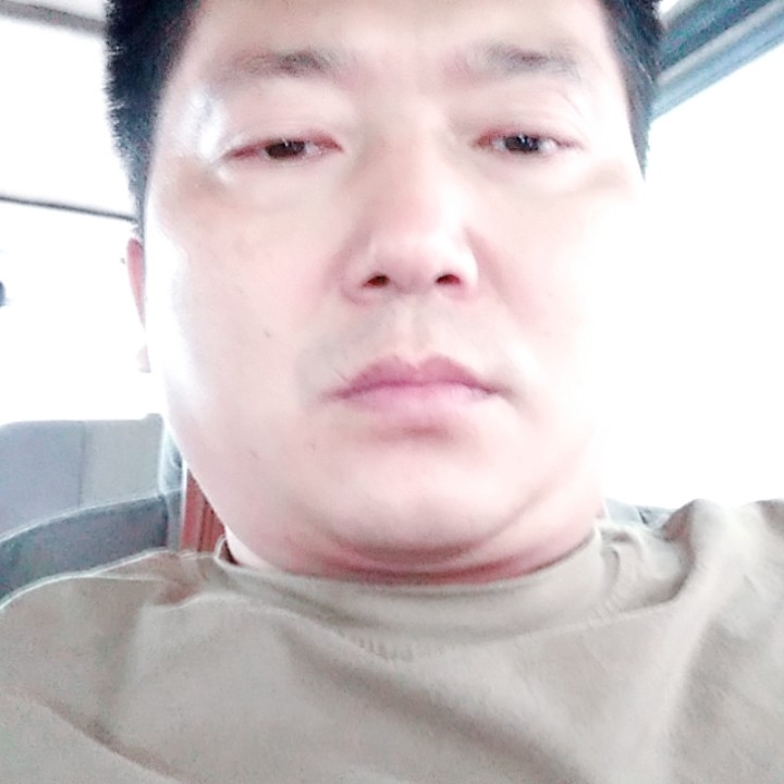 活泼演变红玫瑰的照片