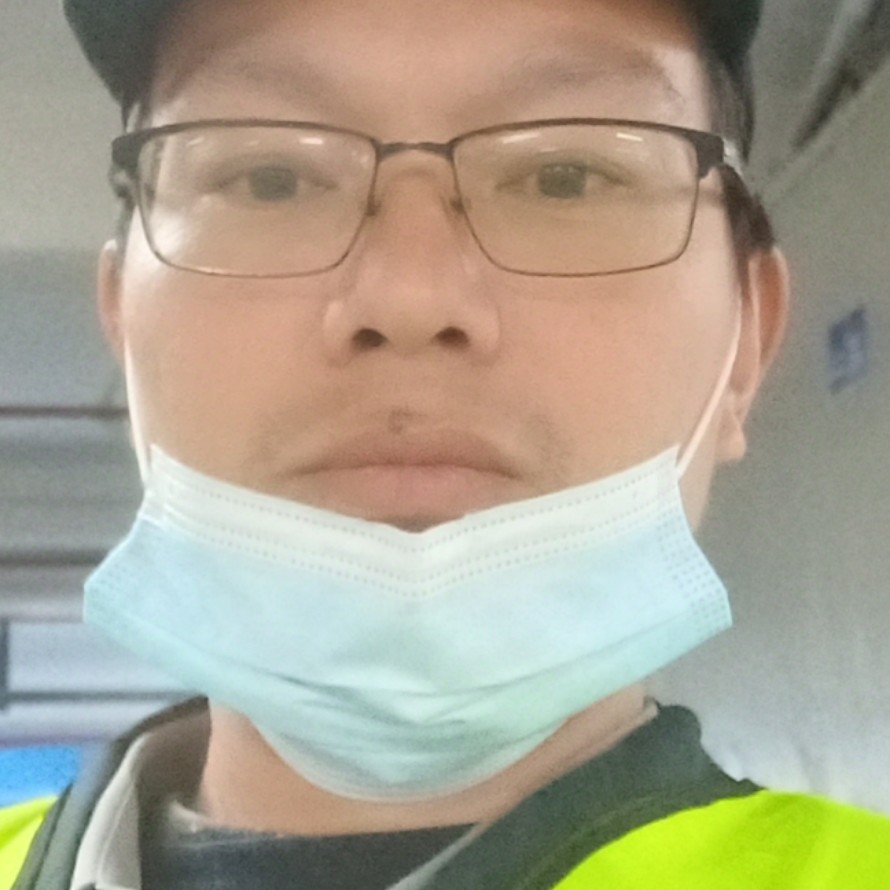 大雁等待执着的照片