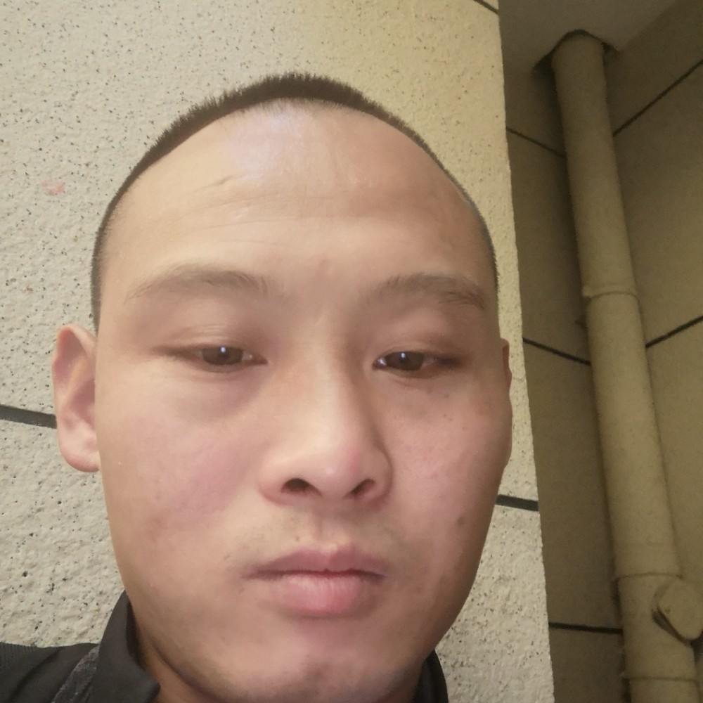 勤恳保卫紫菜的照片