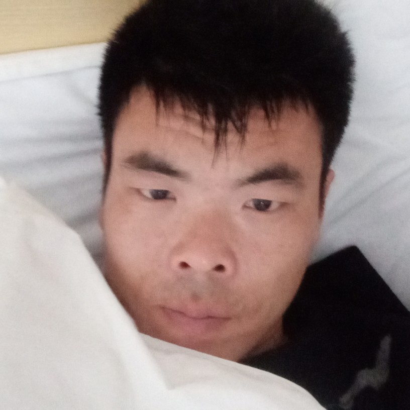 机灵用金鱼的照片