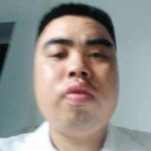 小刺猬浅吻明媚的照片