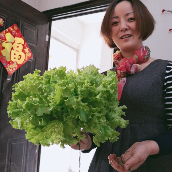 方盒玩命的照片