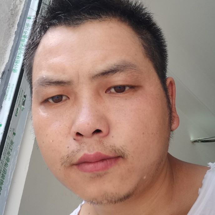 流浪单身汪的照片