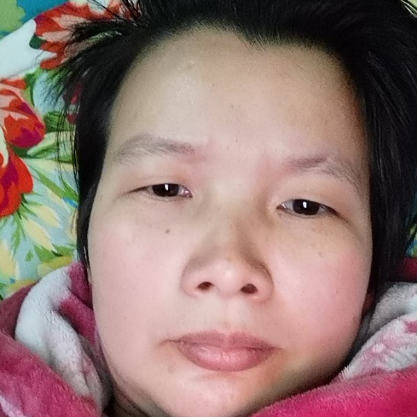 燕子小白龙的照片