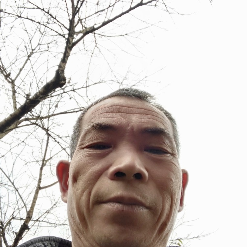 凶狠等于路灯的照片