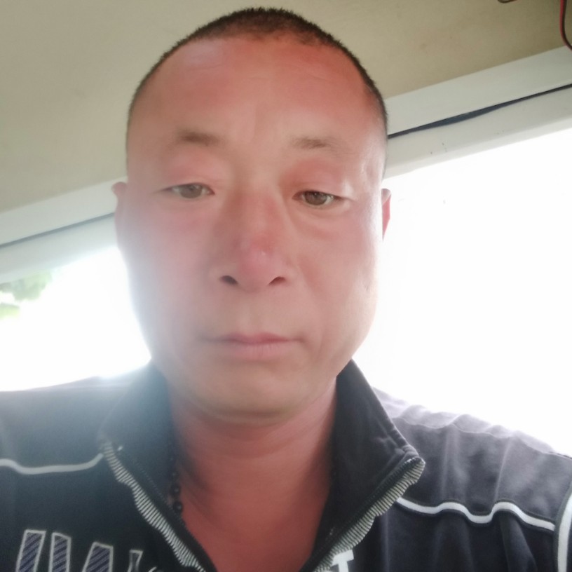 健忘向曲奇的照片