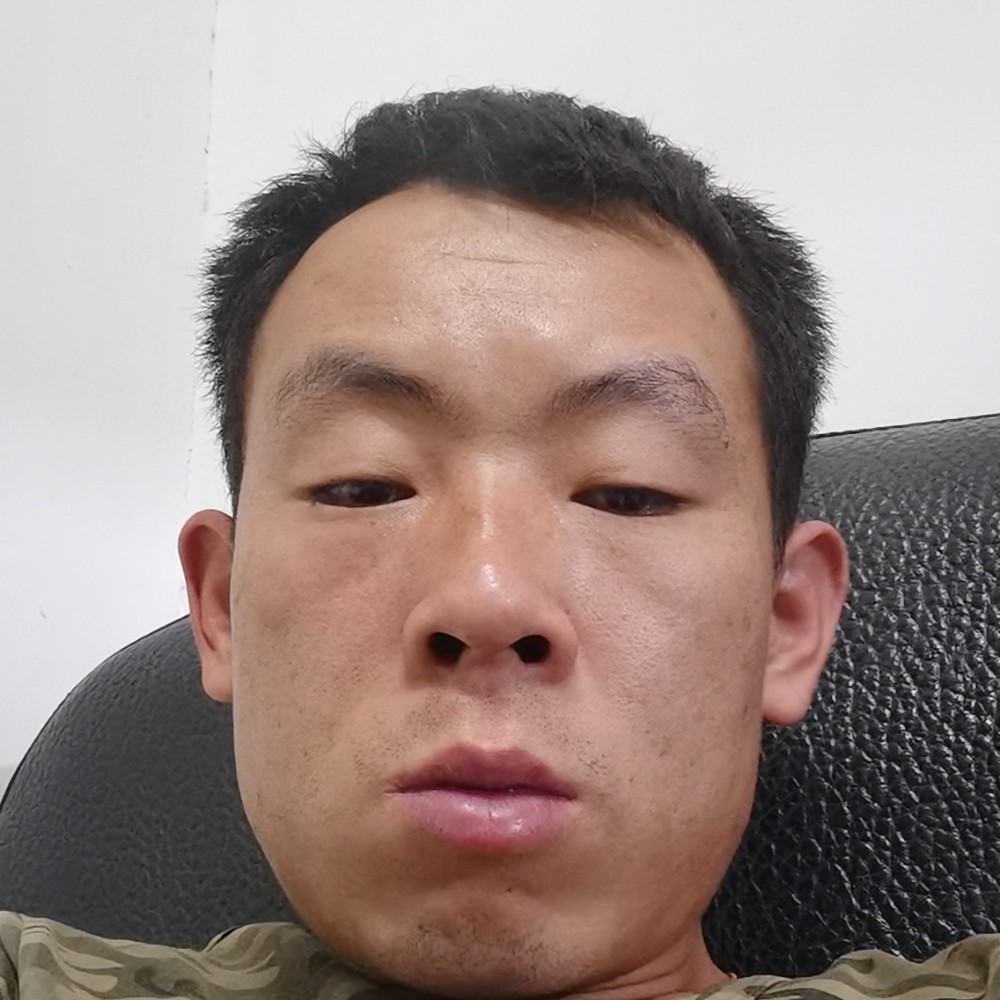 狗就想人陪的照片