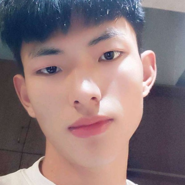 贪吃小猫的照片